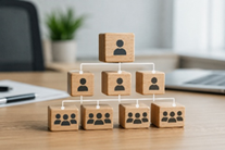 Desarrollo de la Estructura Organizacional